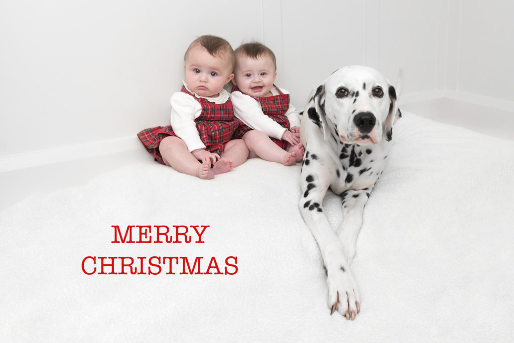 Bespoke Christmas cards can be made by baby & family photographer