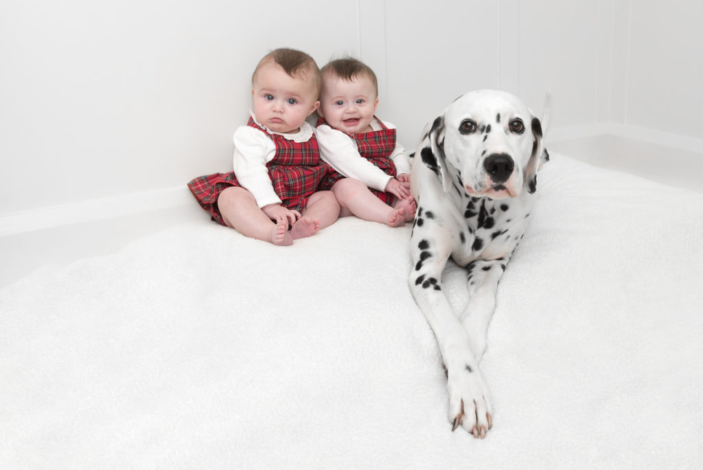 West London pet photographer: Dalmatian dog sits with twin girls in Notting Hill